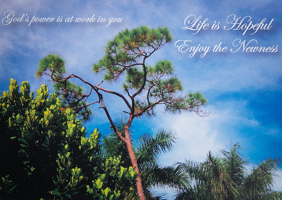 Enjoy The Newness Card 01 - Image 2