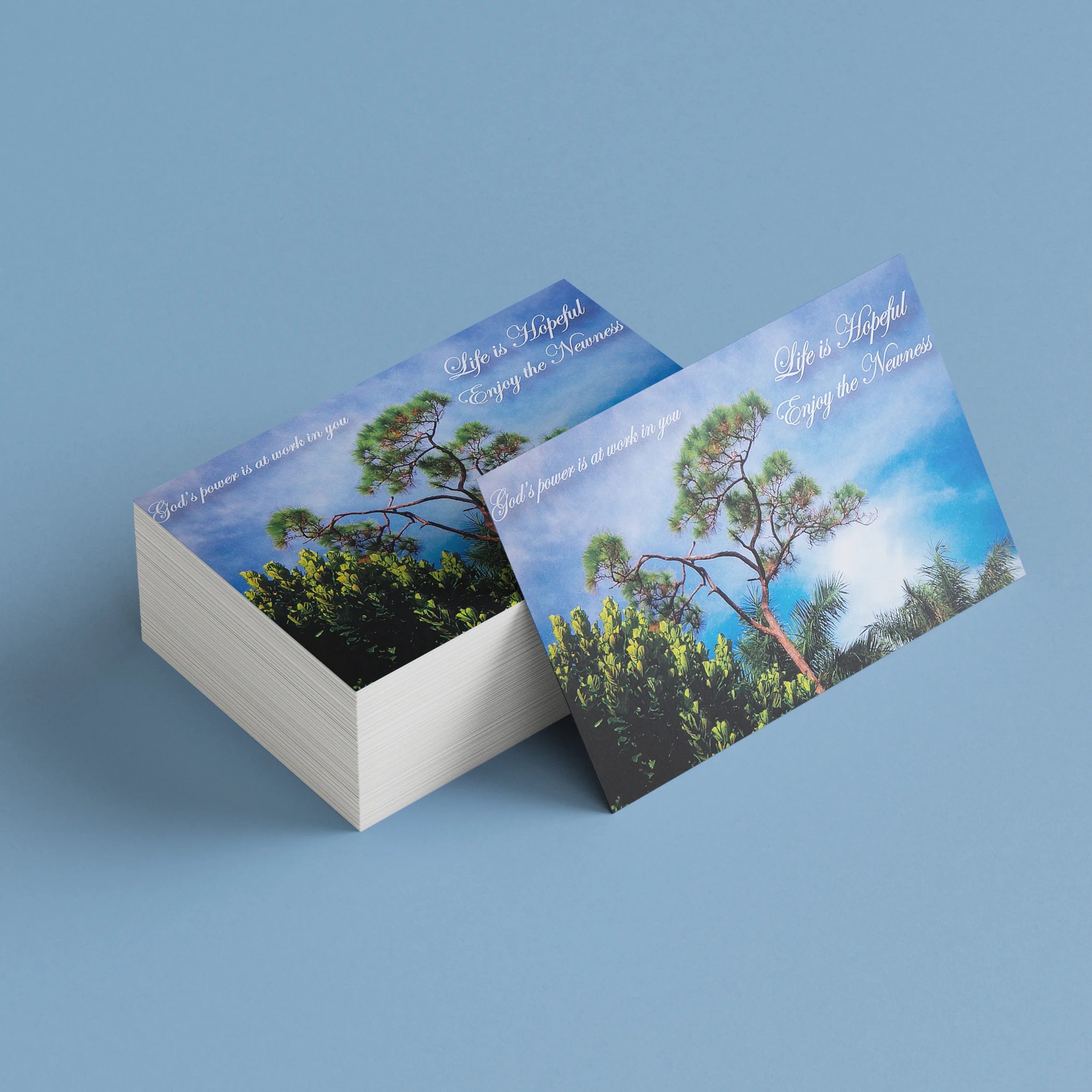 Enjoy The Newness 01