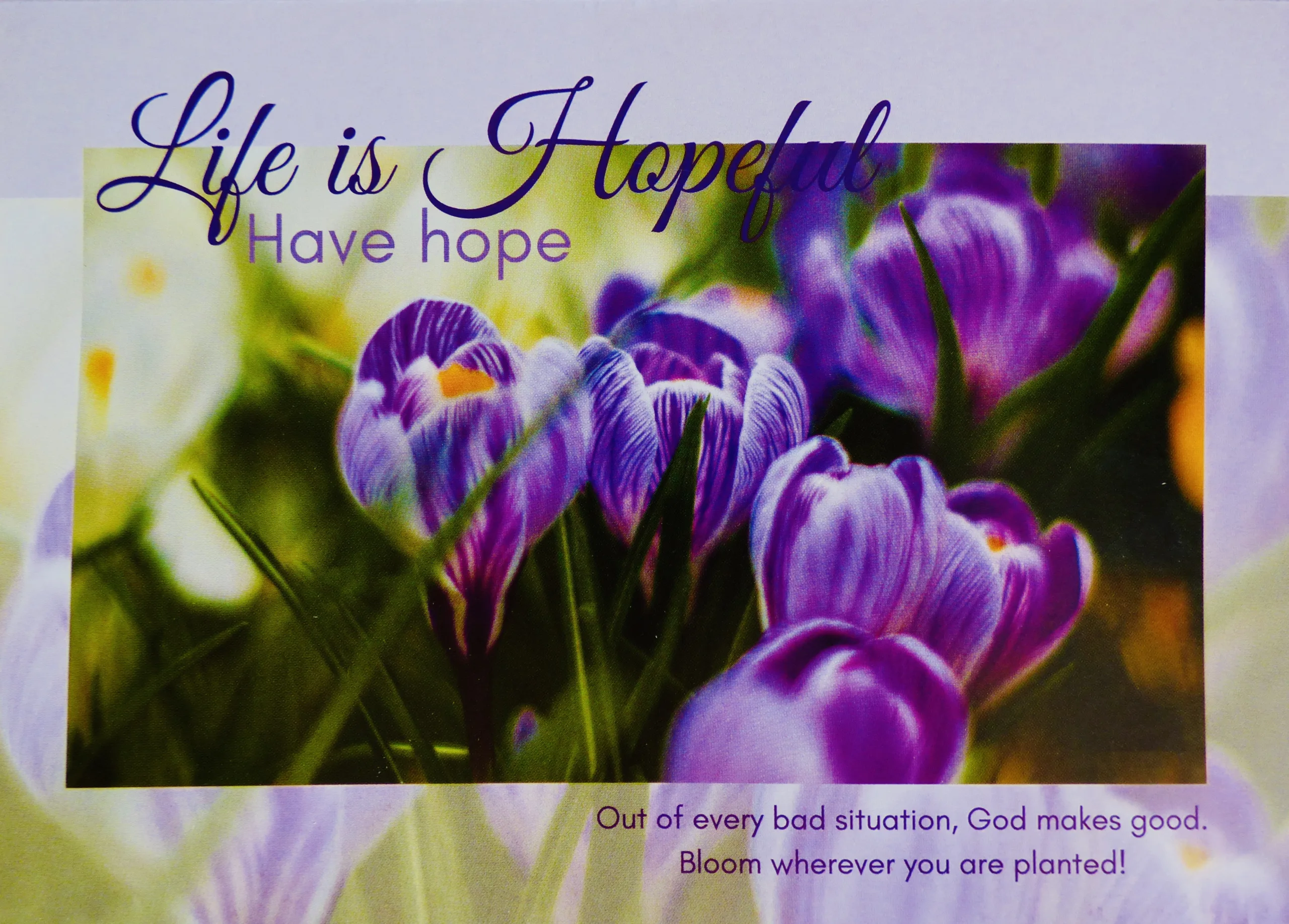 Have Hope 01 - Image 2