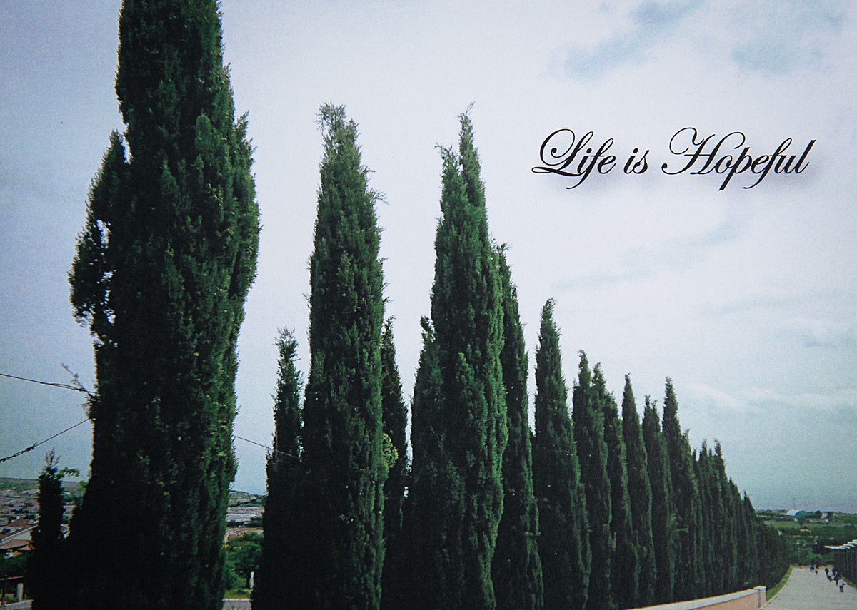 Life Is Hopeful Card 01 - Image 2