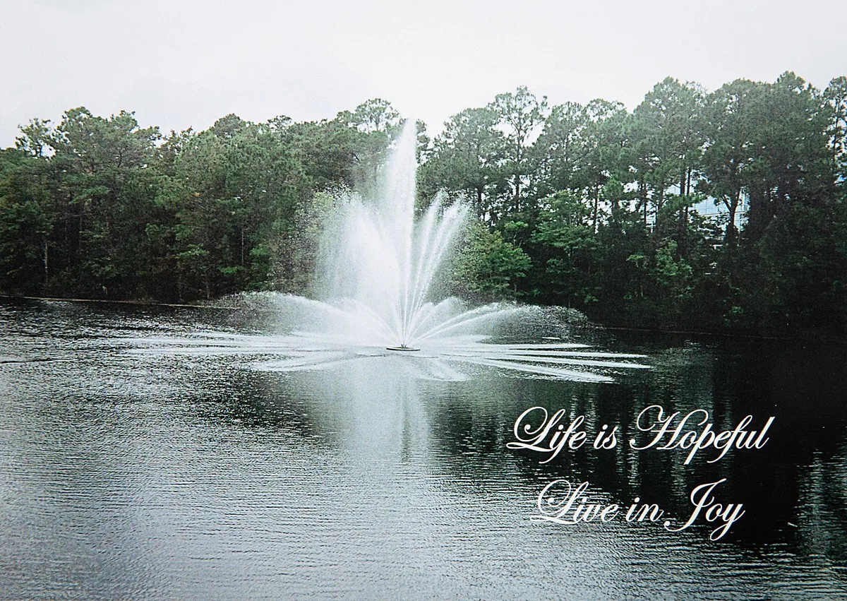 Live In Joy 01 - Image 2