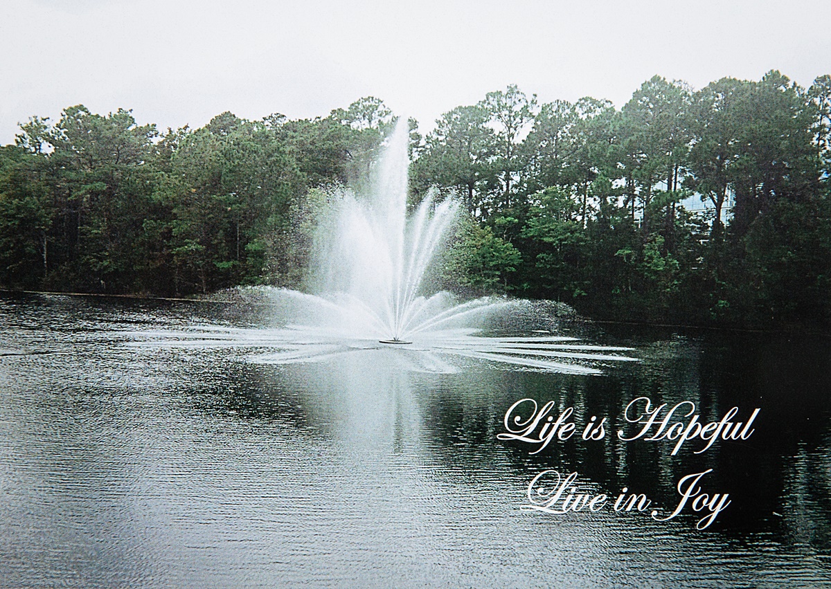 Live In Joy Card 01 - Image 2