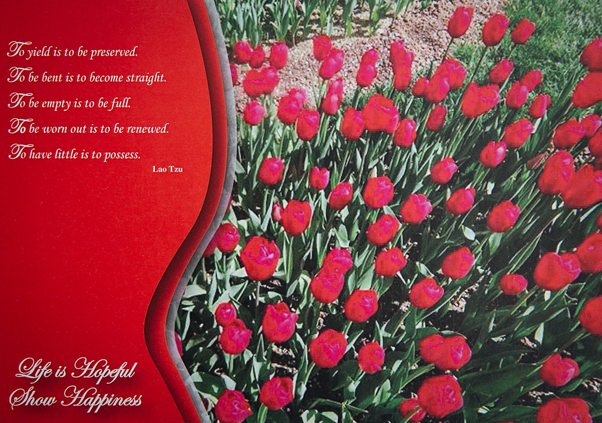 Show Happiness Card 01 - Image 2