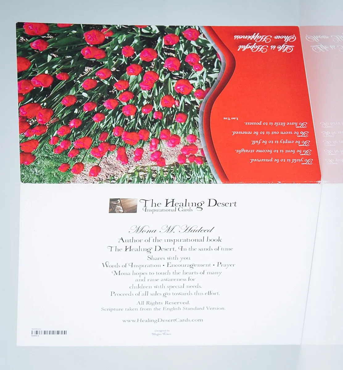 Show Happiness 01 - Image 4