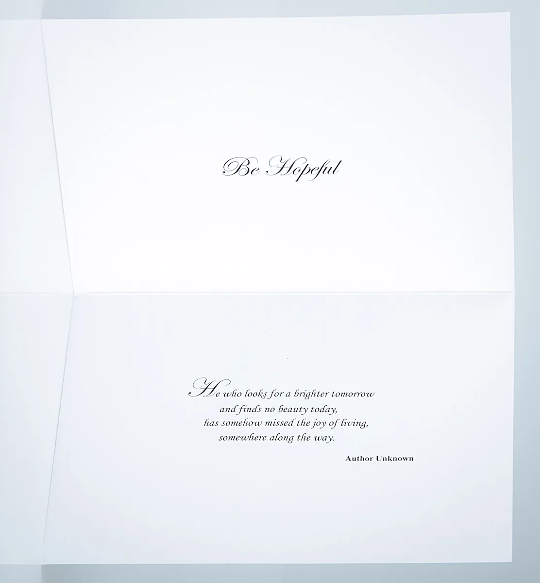 Show Happiness 01 - Image 3