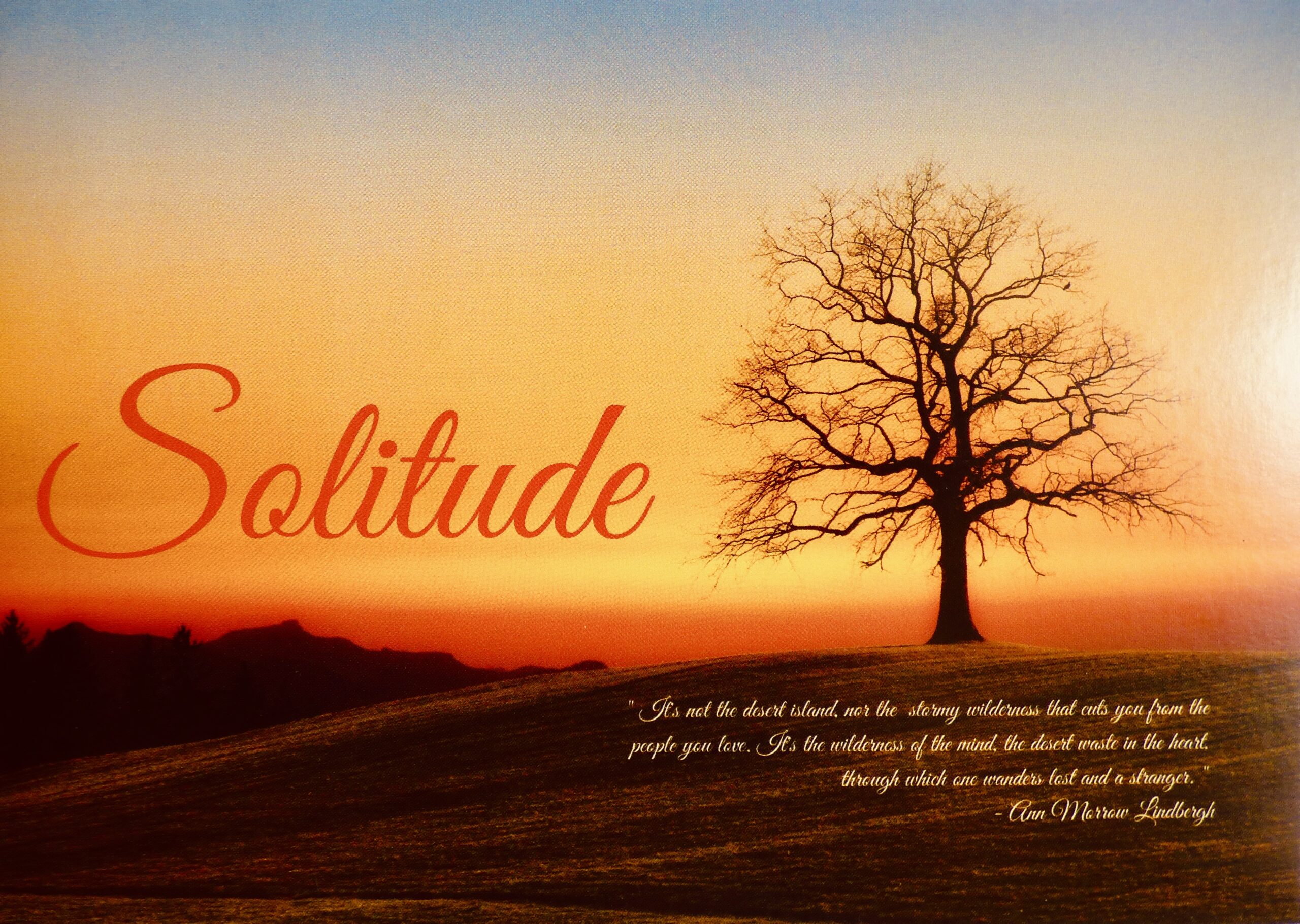 Solitude Card 01 - Image 2