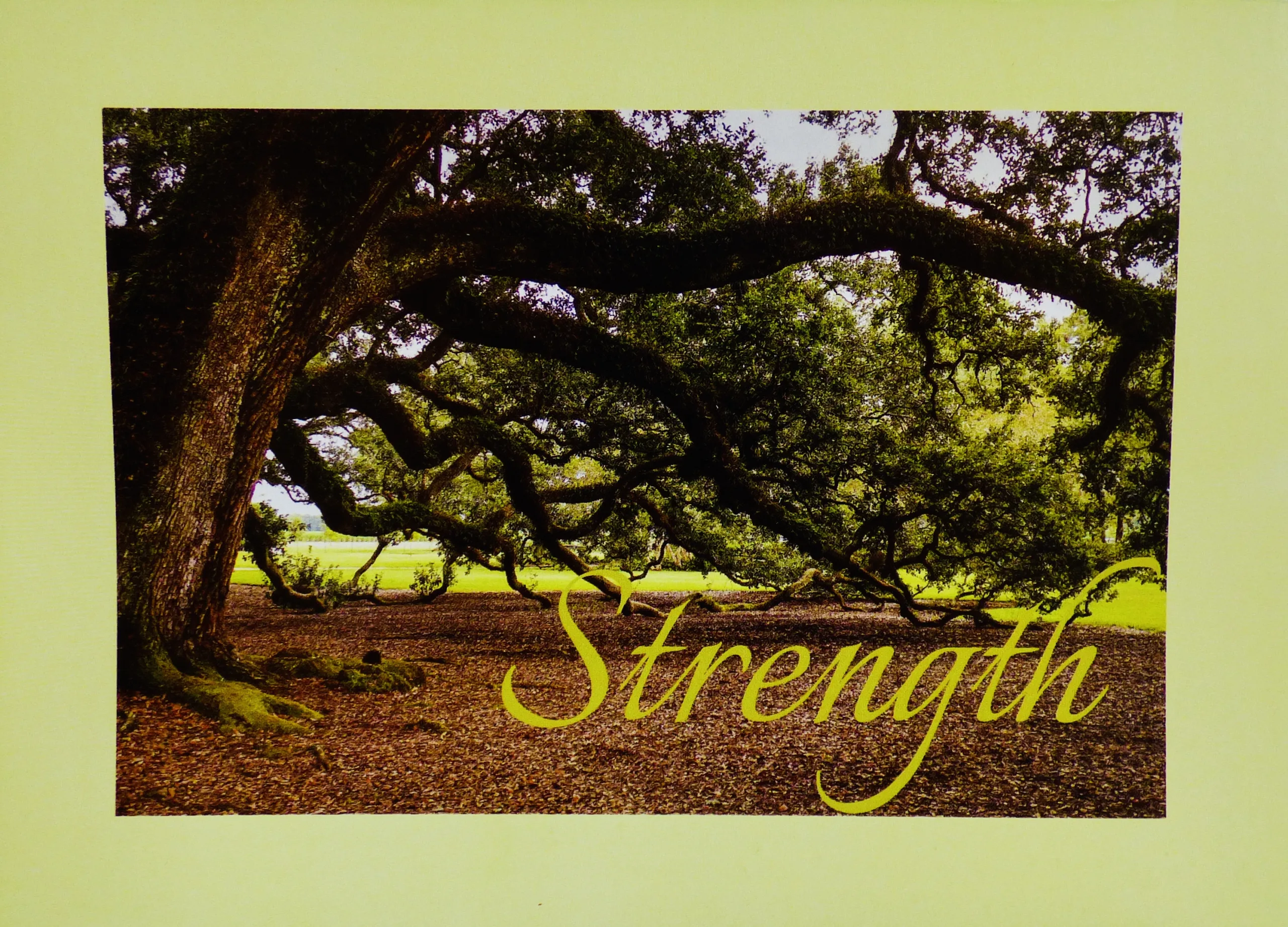 Strength 01 - Image 2