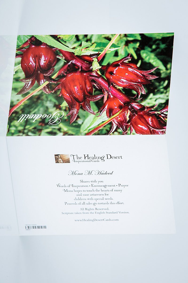 Christmas Goodwill Card 01 - Image 4