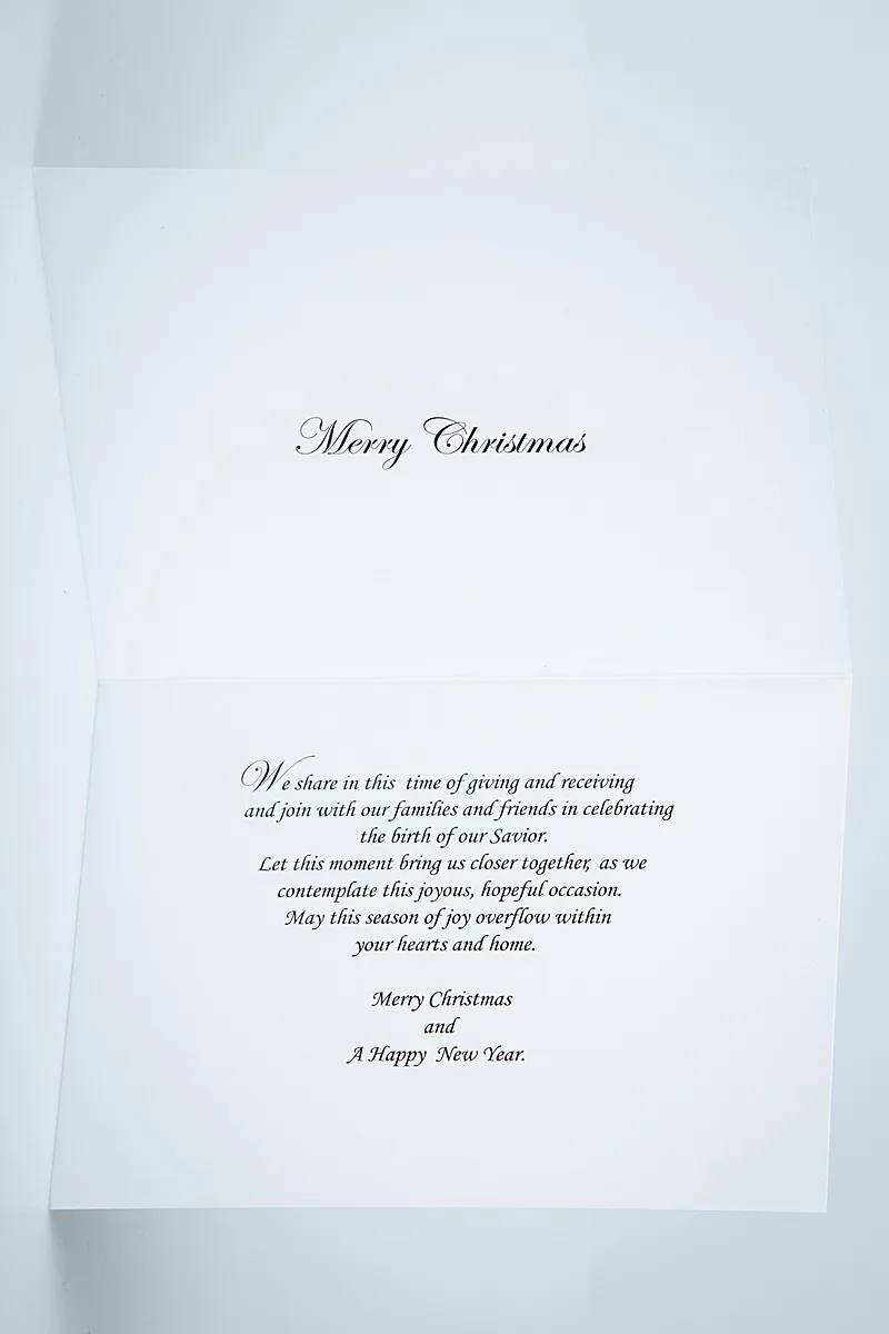 Joy 01 - Image 3