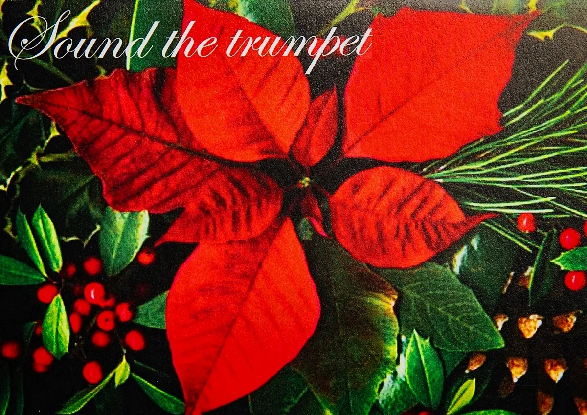 Sound The Trumpet 01 - Image 2