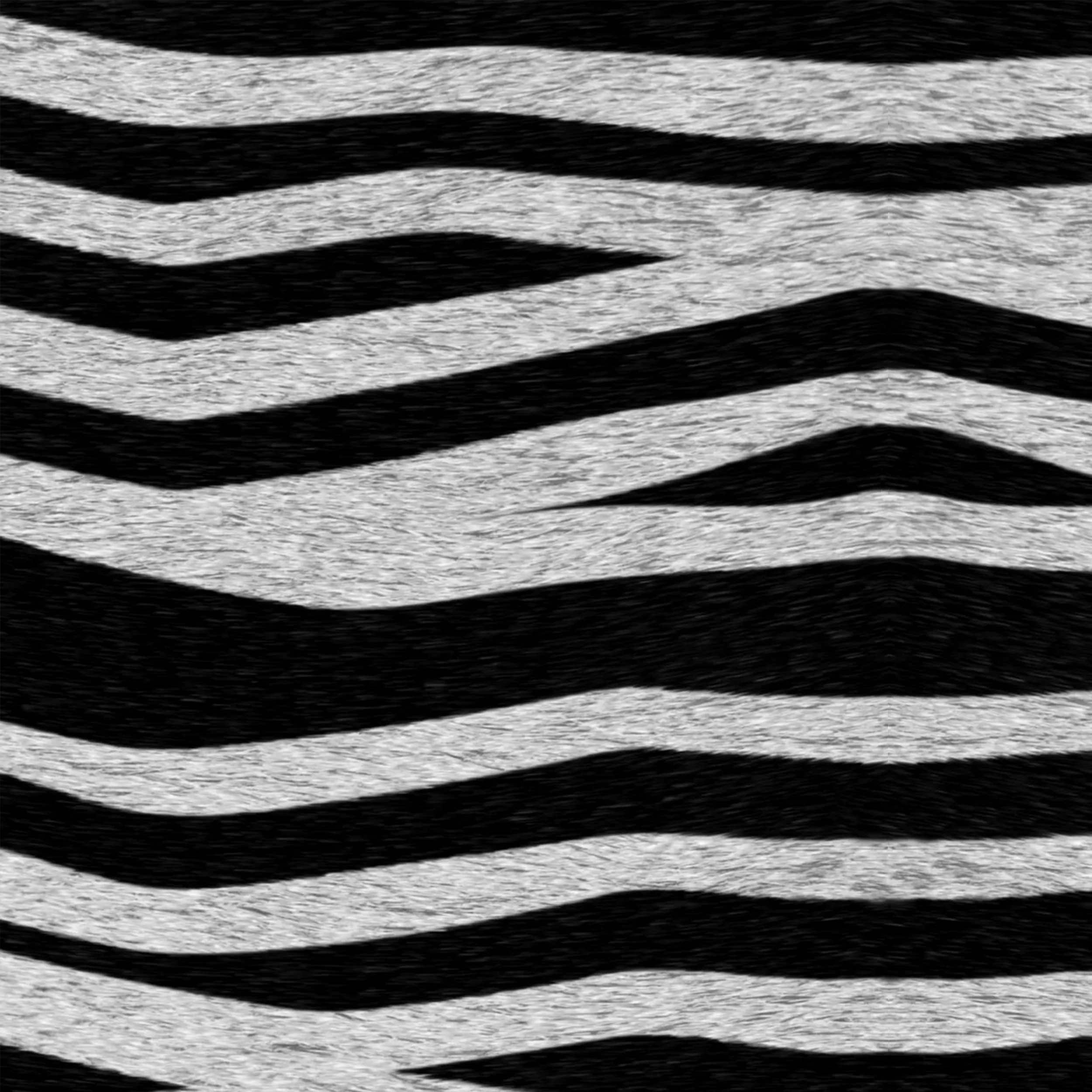 Zebra Stripes #99 - Image 2