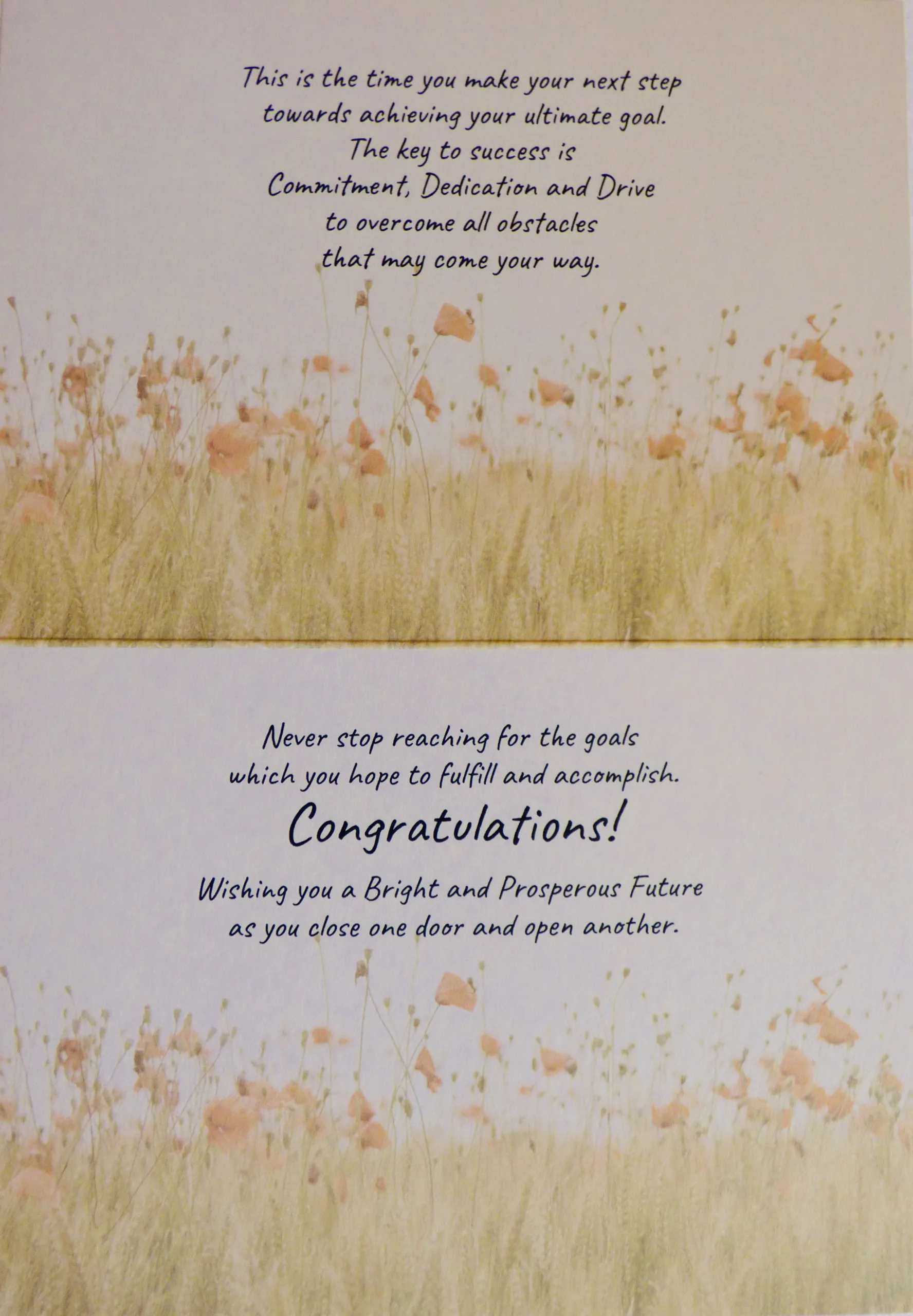 Congratulations 01 - Image 3
