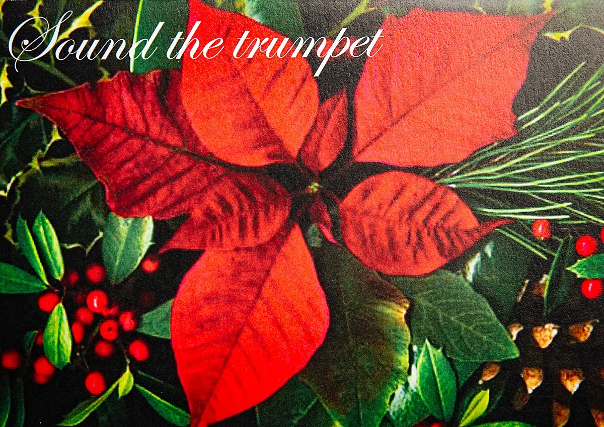 Sound The Trumpet 01 - Image 2