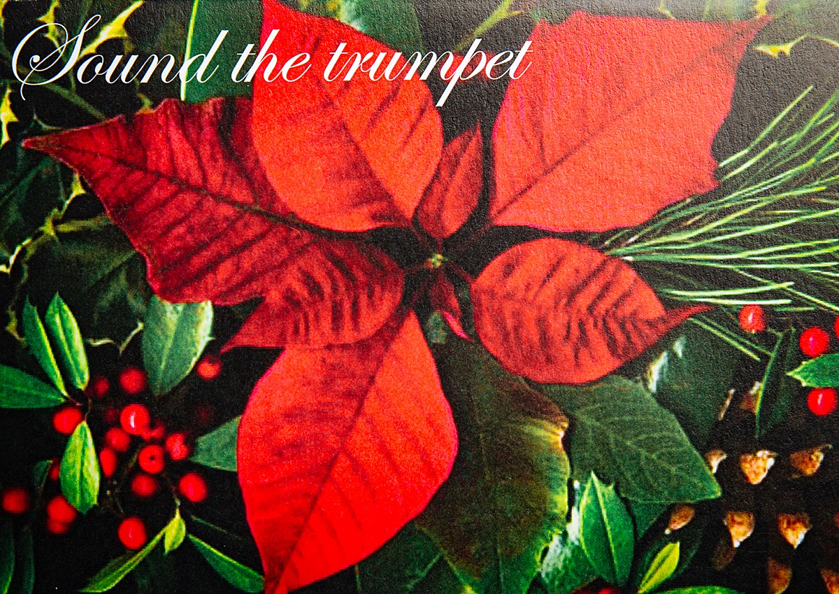 Custom Sound The Trumpet Card 01 - Image 2