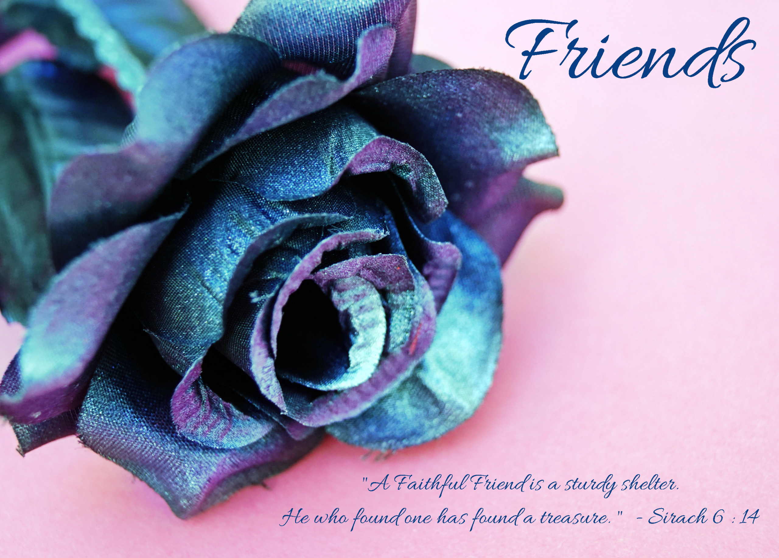 Friends Card 01 - Image 2