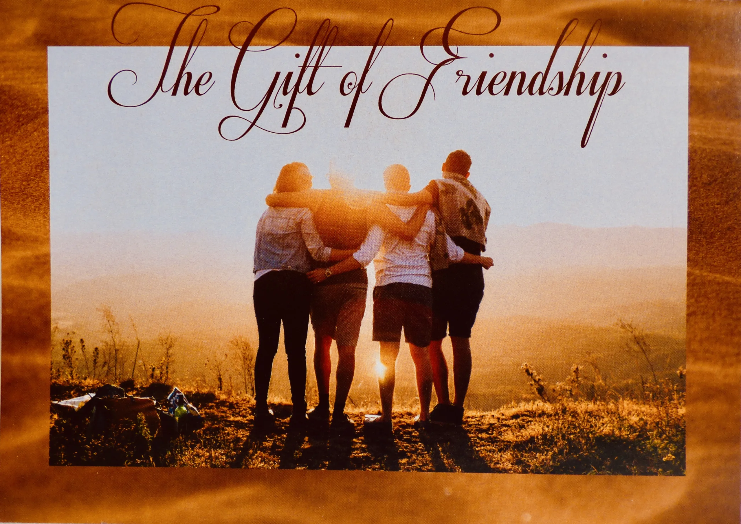 The Gift Of Friendship 01 - Image 2