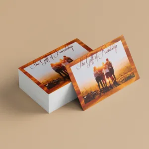 The Gift Of Friendship 01