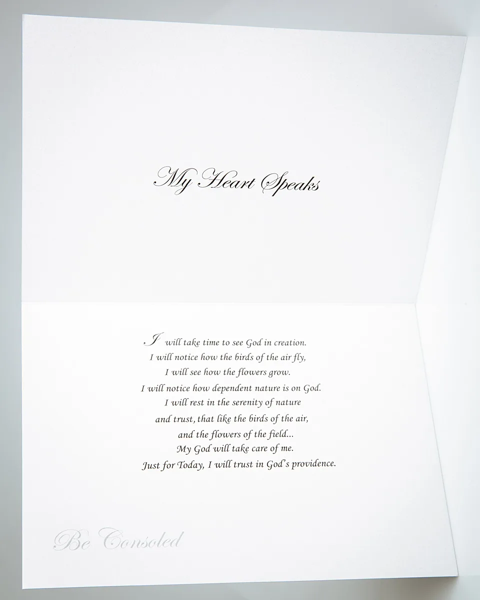 Be Consoled 01 - Image 3