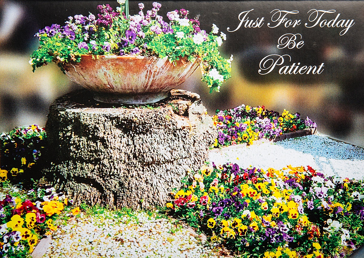 Be Patient Card 01 - Image 2