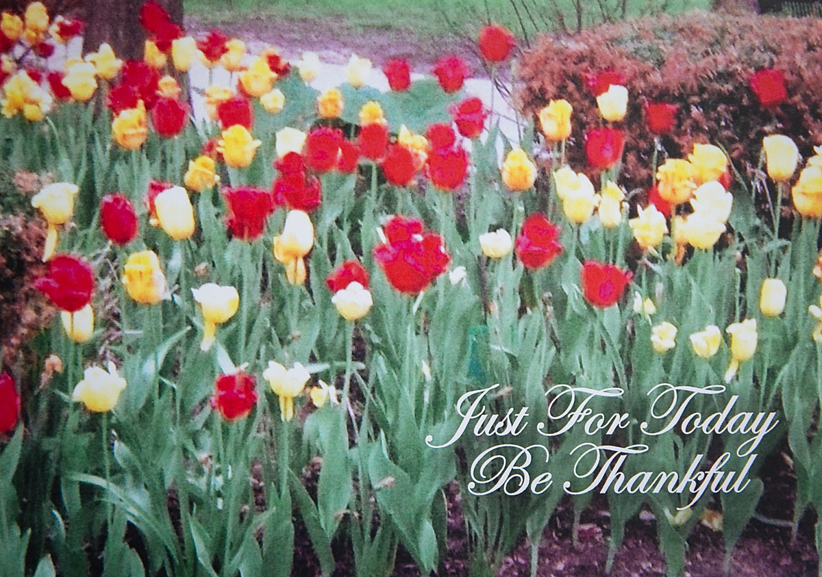 Be Thankful Card 01 - Image 2