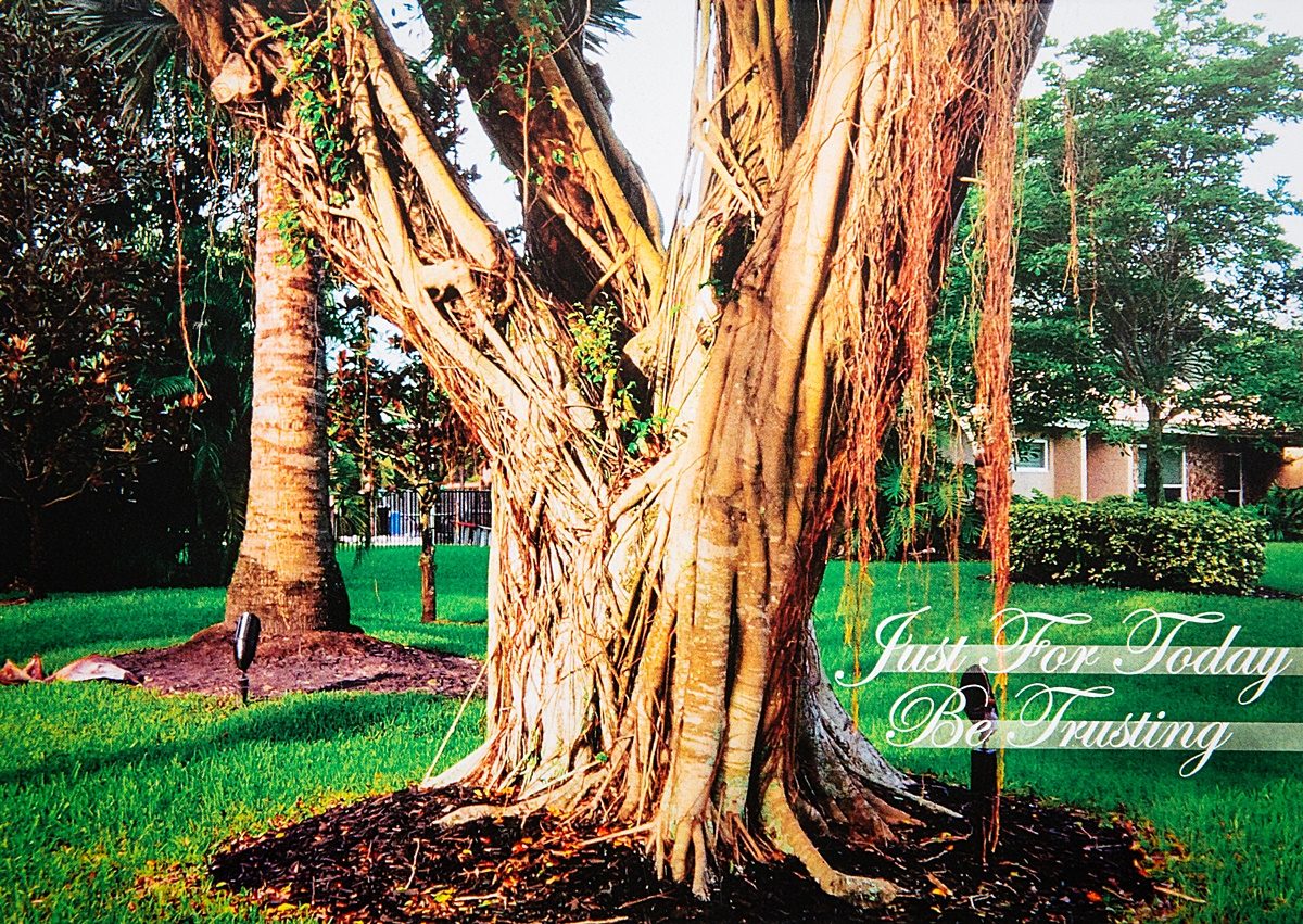 Be Trusting Card 01 - Image 2