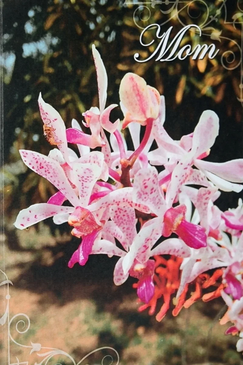 Mom 01 - Image 2