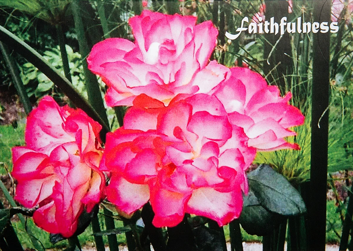 Faithfulness 01 - Image 2
