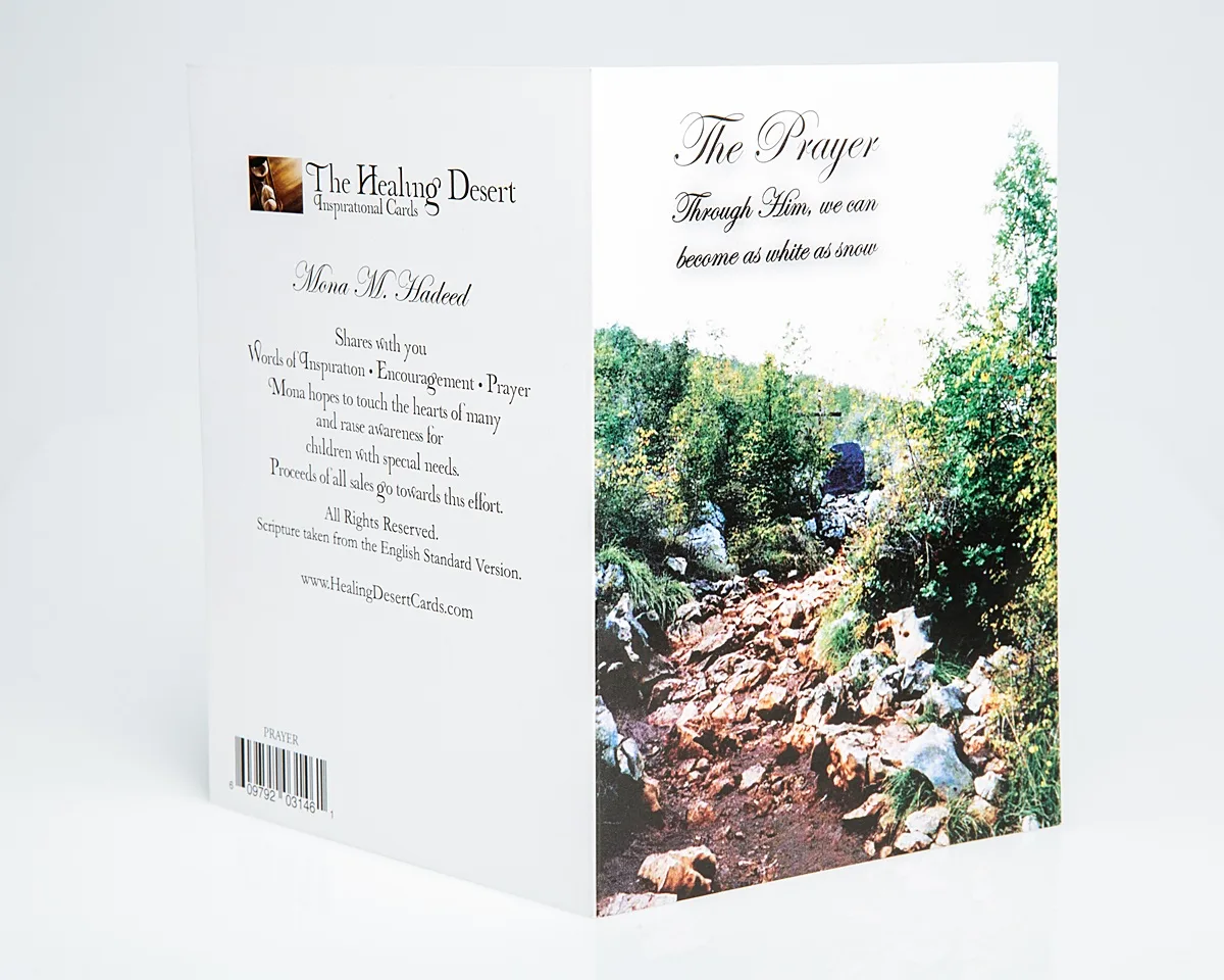 The Prayer 01 - Image 4