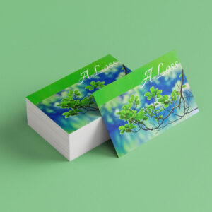 Sympathy A Loss Card 01