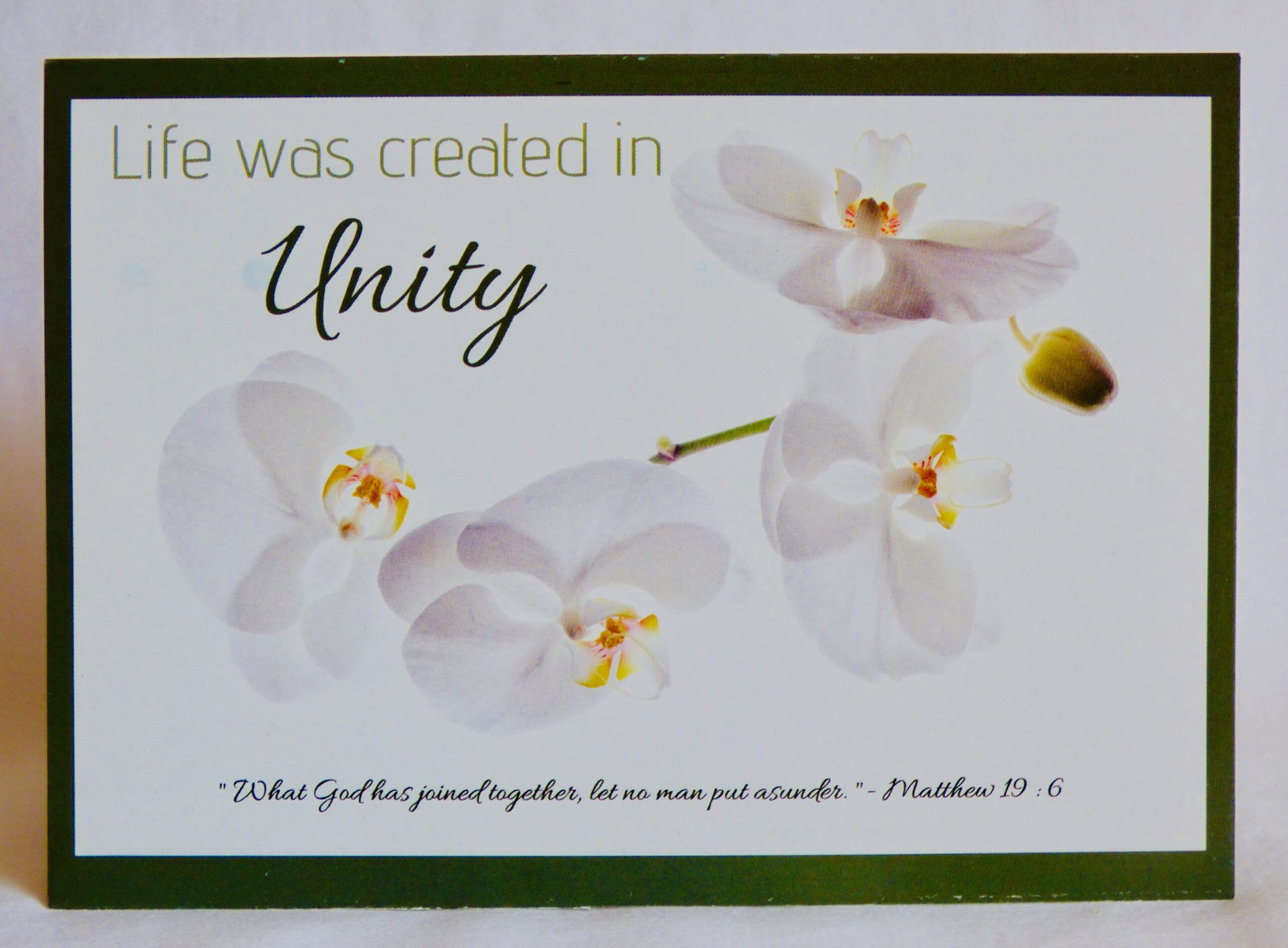 Life Was Created In Unity Card 01 - Image 2