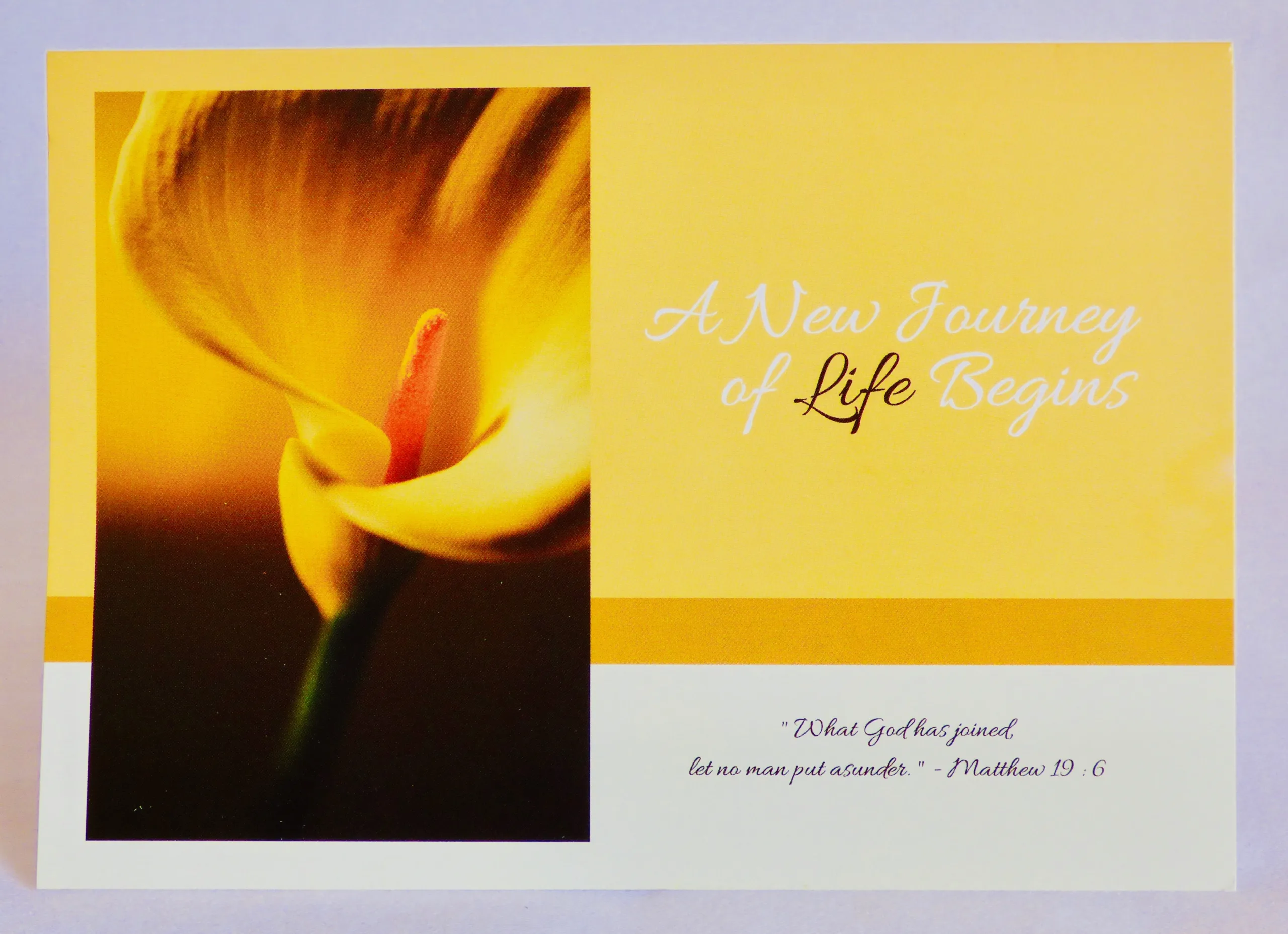A New Journey Of Life Begins 01 - Image 2