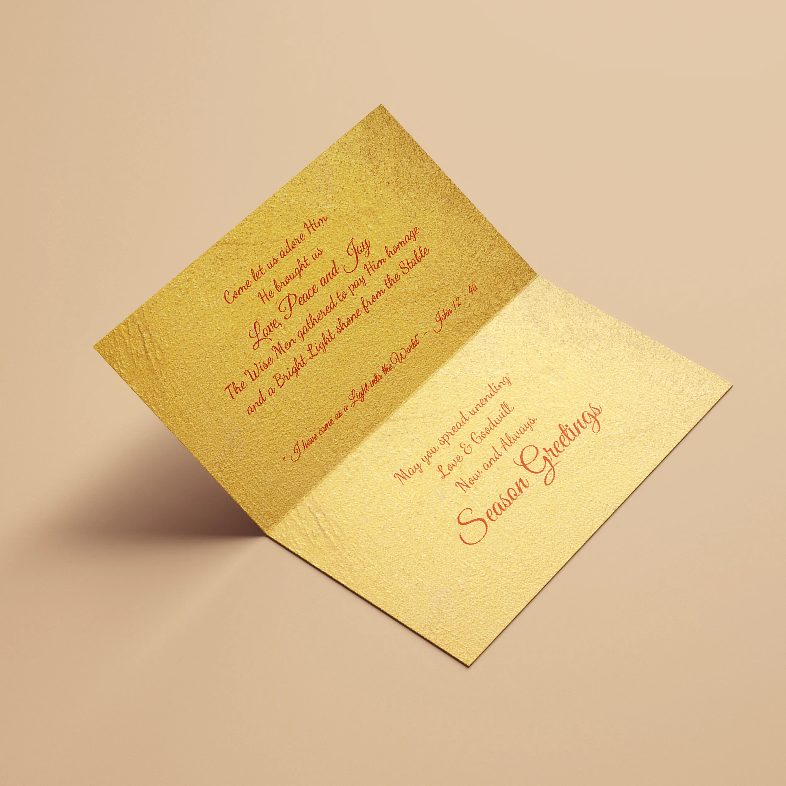 A Bright Light 01 - Image 3