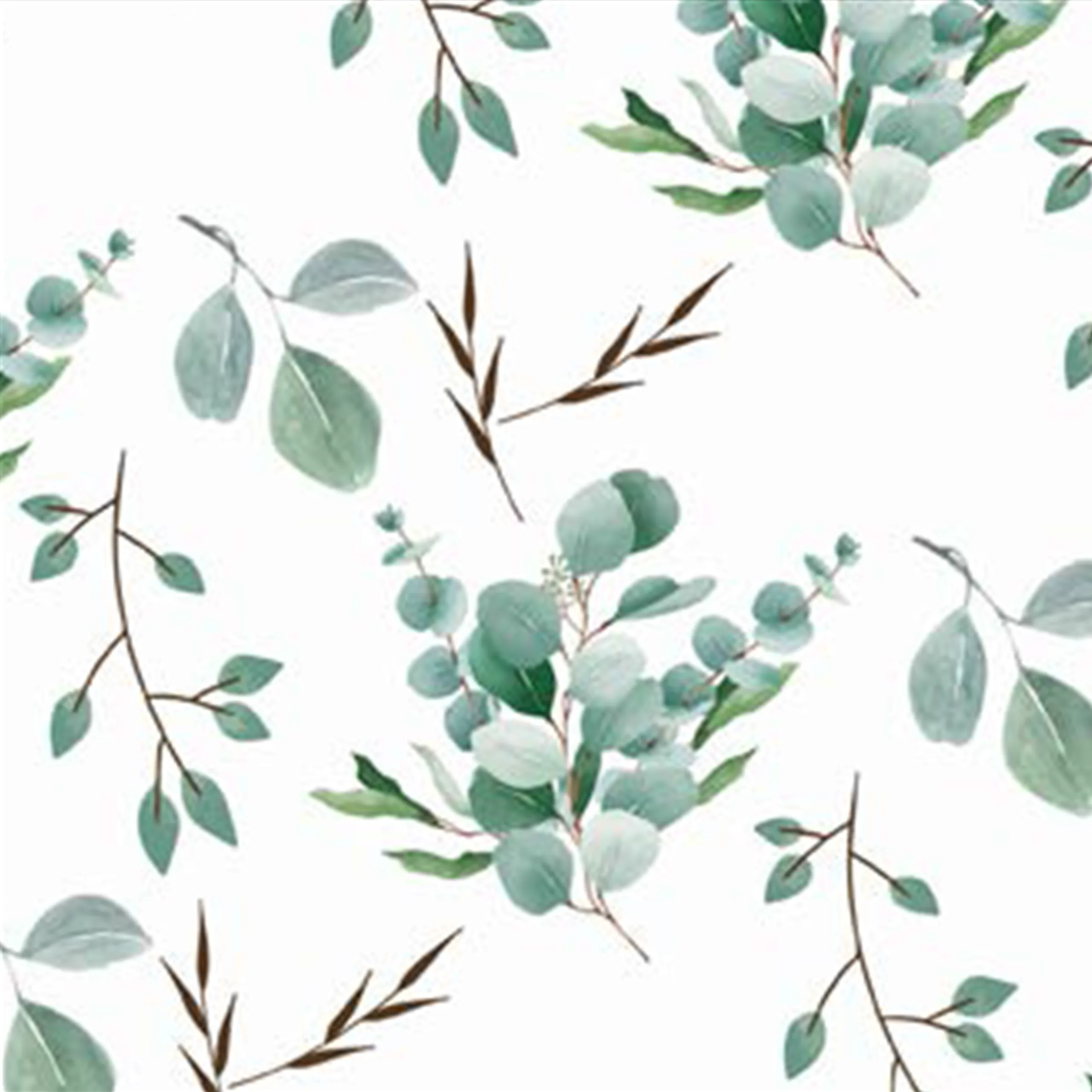 Eucalyptus #68 - Image 2