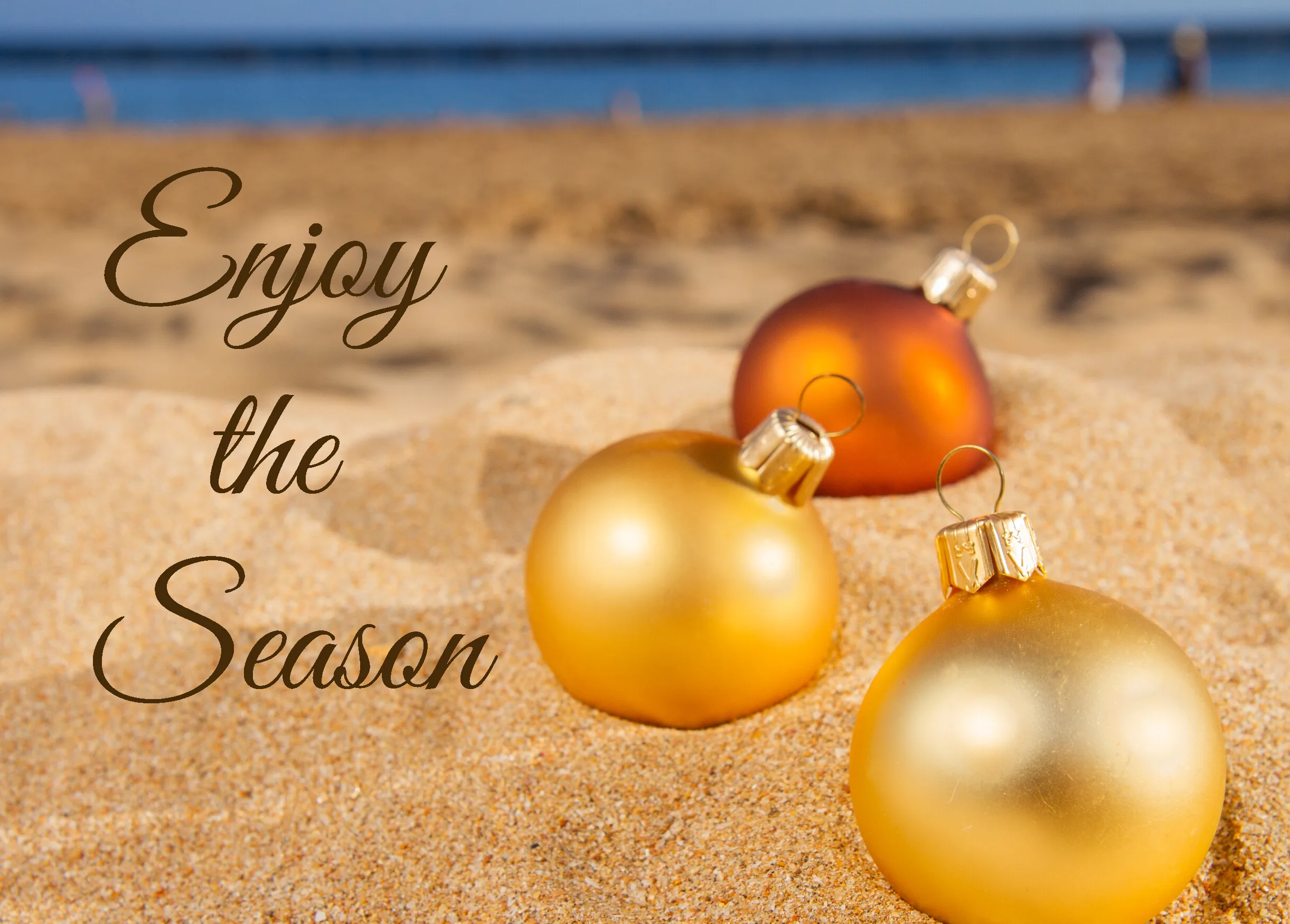 Enjoy The Season 01 - Image 2