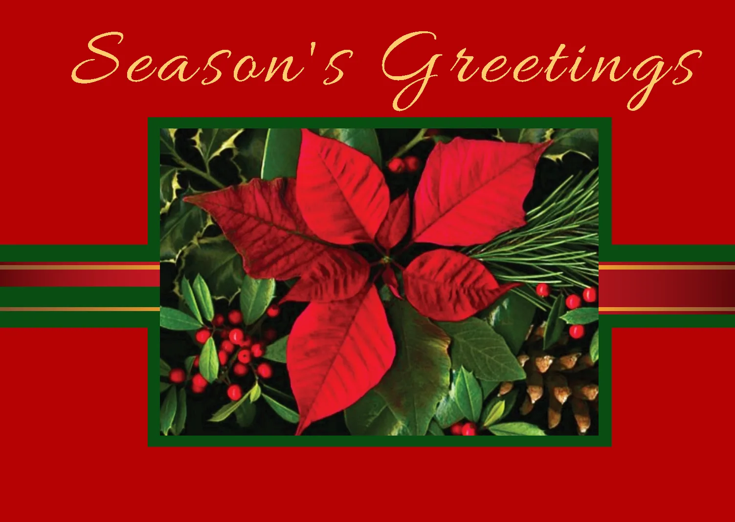 Seasons Greetings - Pointsetta 01 - Image 2