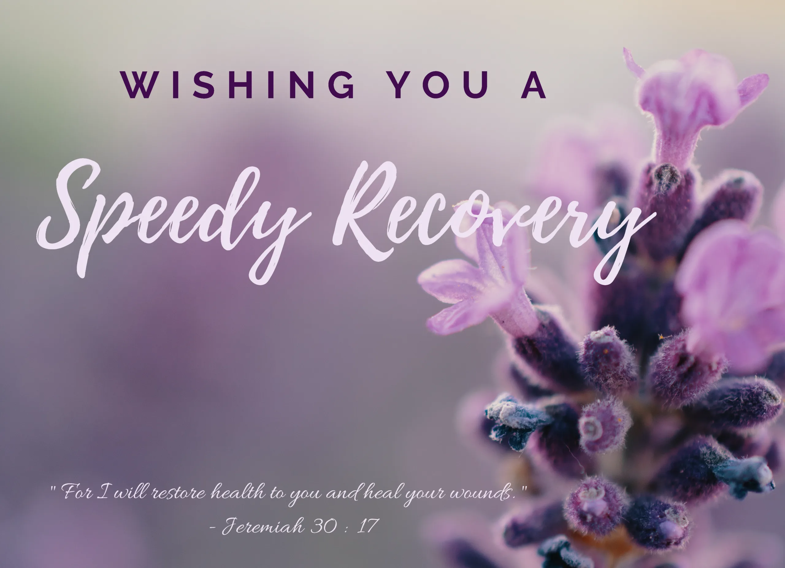 Speedy Recovery 01 - Image 2